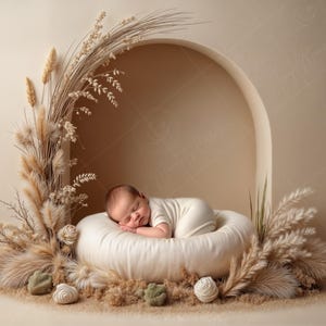 Puede incluir: Un recién nacido dormido con un body blanco descansa sobre una almohada crema, dentro de un arco decorativo. La escena está adornada con hierbas y flores secas, creando un ambiente tranquilo y natural para una sesión de fotos de recién nacidos.