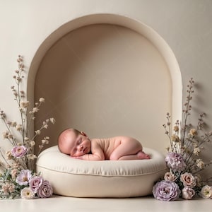 Newborn Digital Backdrop | Minimalist Dome Cradle with Blush Florals, Neutral Baby Photography Prop
