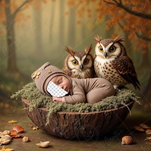 Puede incluir: Un bebé recién nacido durmiendo, con un conjunto y gorro marrón, en un cuenco de madera lleno de musgo, con dos búhos detrás. El fondo es una escena borrosa de un bosque con hojas de otoño.