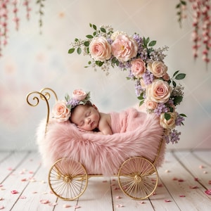 May include: A sleeping baby in a pink fur-lined carriage adorned with roses and other flowers. The carriage is gold-colored with spoked wheels. The background is a soft pastel with floral accents.