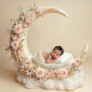 Blush Floral Crescent | Dreamy Newborn Digital Backdrop | Cloudy Moon Prop