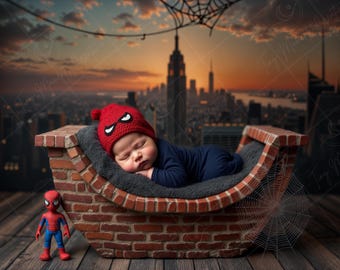 Newborn Digital Backdrop | Rooftop City Cradle with Web Detail, Superhero Baby Boy Photo Prop