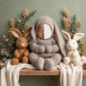 May include: A newborn baby wearing a gray knitted bunny costume sits on a wooden shelf with two plush bunny toys. The baby is surrounded by dried flowers and greenery.