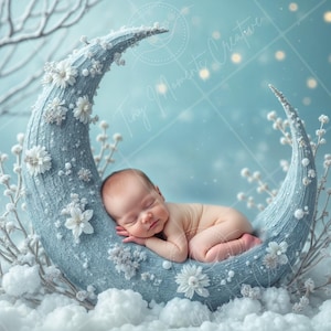 May include: A newborn baby sleeping peacefully in a blue crescent moon prop decorated with white flowers. The prop is surrounded by white snow and a snowy branch.