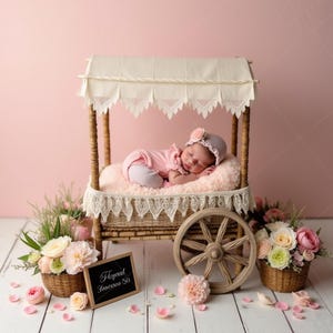 Newborn Digital Backdrop | Lace Canopy Cart with Soft Pink Blanket, Floral Spring Scene