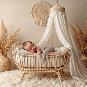 May include: A newborn baby sleeping in a wicker bassinet with a white canopy. The bassinet is decorated with pampas grass and a woven wall hanging.