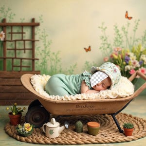 May include: A sleeping baby wearing a mint green outfit and floral bonnet rests in a rustic wheelbarrow lined with a fluffy cream-colored blanket. The scene is set in a garden with butterflies and flowers.
