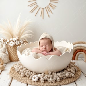 Newborn Digital Backdrop | Neutral Cracked Egg Nest with Bunny & Rainbow | Boho Baby Photo Prop