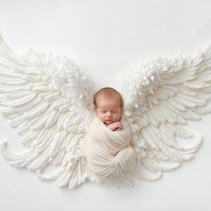 May include: A newborn baby is swaddled in white fabric and lying on a pair of large, white, feathery angel wings.