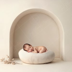Puede incluir: Un bebé recién nacido durmiendo en un cojín blanco, redondo y mullido en un arco blanco. El bebé lleva un pañal blanco y tiene una tez clara. El fondo es una pared blanca.