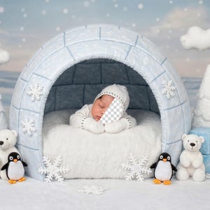 May include: A newborn baby sleeps peacefully inside a light blue igloo-shaped bed, surrounded by winter-themed decorations. The scene includes white polar bear and penguin plush toys, snowflake accents, and miniature Christmas trees, creating a cozy winter wonderland setting.