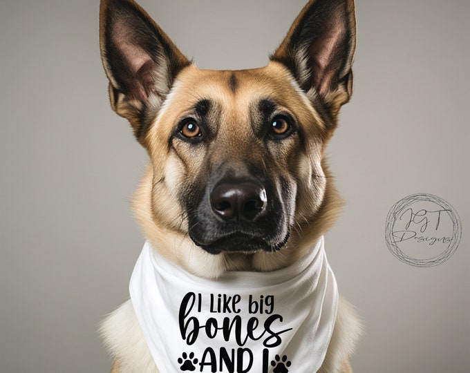 Pet Bandana, I Like Big Bones, Dog Scarf, Funny Dog Accessories
