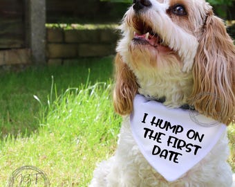 Pet Bandana, I Hump On The First Date, Dog Scarf, Funny Dog Accessories