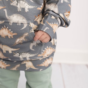 Dinosaurs Bamboo Hoodie