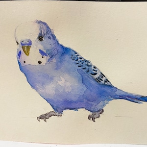 Personalized Budgie Parakeet Painting