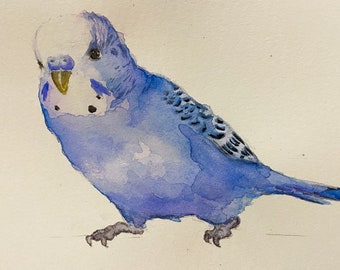 セキセイインコのアートプリント、水色のインコの水彩画 - Etsy 日本