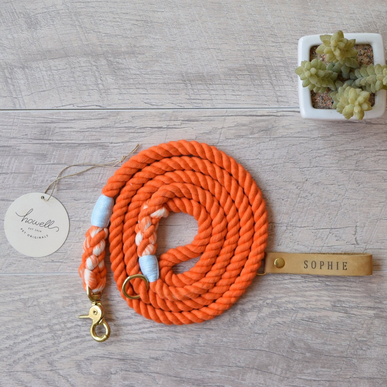 Rope Dog Collar and Leash Set Dog Lead & Fashion Dog Collar Etsy Canada