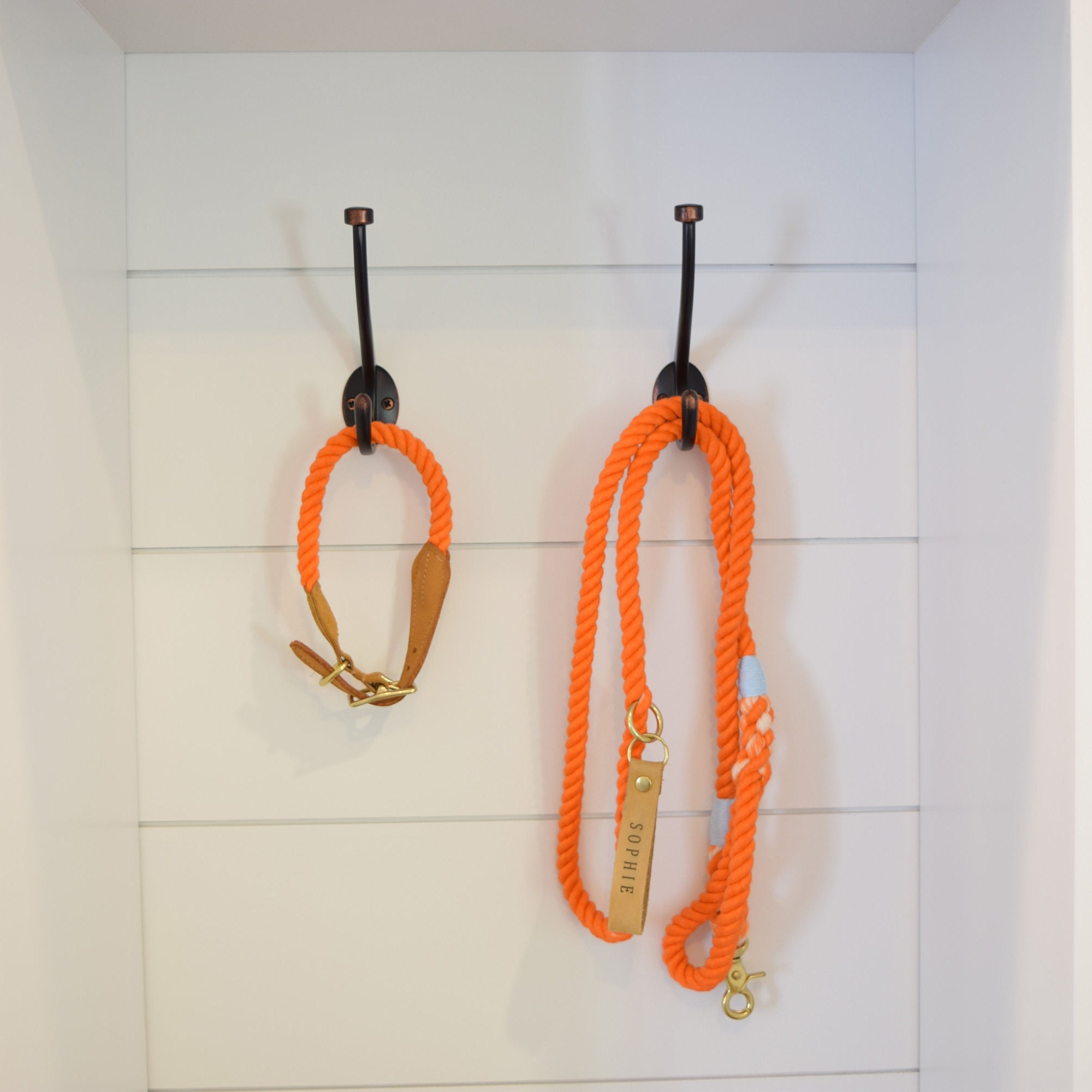 Round Dog Leash | Trekking Rope Leash – Non-stop Dogwear - Foto 2