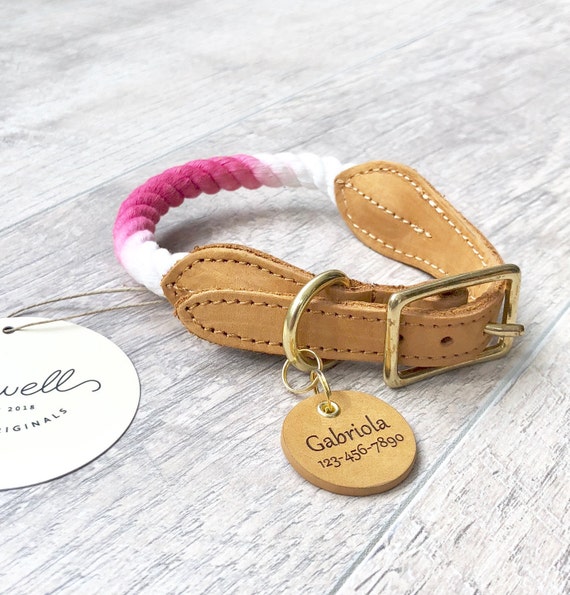ombre rope dog collar