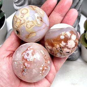 May include: Three polished gemstone spheres in shades of pink, cream, and brown are held in a hand. The spheres have unique patterns and textures. The background includes a succulent plant and a decorative statue.