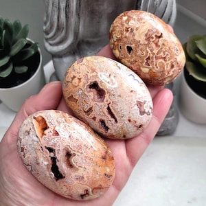 May include: Three polished, oval-shaped stones with a mix of beige, brown, and orange hues. The stones have unique patterns and small cavities. The stones are held in a hand, with a blurred background of plants and a statue.