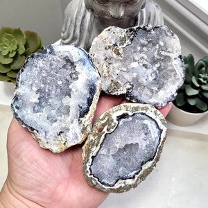 May include: Three geode slices with a crystalline interior and a dark blue and white border. The geodes are held in a hand, with a Buddha statue and succulents in the background. The geodes have a rough, natural texture.