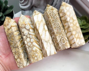 Fossil Coral Point, Indonesian Fossil Coral Tower, Polished Coral Stone, Natural Fossil Crystal, Collector Gift, Ocean Fossil Decor
