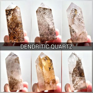 May include: Six dendritic quartz crystal points. The crystals are clear with brown and black inclusions, and are held in a person's hand. The text "DENDRITIC QUARTZ" is displayed in a white font on a black background.