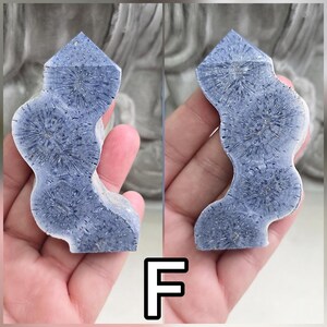 May include: A blue fossilized coral specimen with a pointed top and a wavy, irregular edge. The surface displays distinct, circular, star-like patterns in shades of light and dark blue, with a textured, matte finish throughout the stone structure.