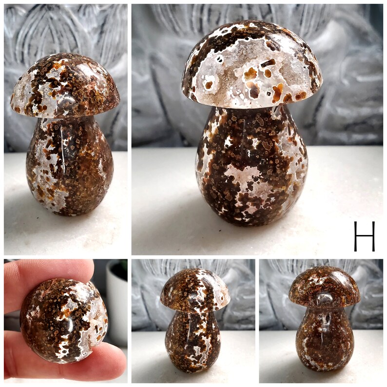 Ocean Jasper Mushroom Carvings, Bubble Ocean Jasper Crystals, Crystal Mushroom Carvings, Crystal Room Decor, Ethically Sourced H 46g - 4.6cmx3.1cm