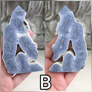 May include: A blue and white mineral specimen featuring a pointed top and a natural, irregular shape with visible radiating crystal patterns throughout the surface. The stone displays a distinct, textured appearance with deep blue hues and white edges.