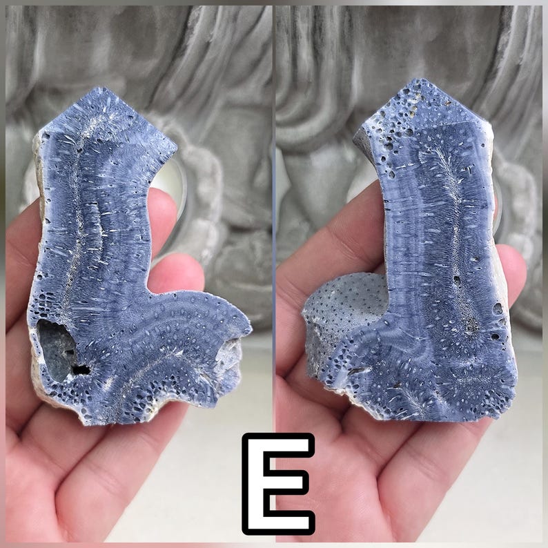 May include: A blue, L-shaped fossilized coral specimen with a textured, porous surface and a pointed top. The stone displays intricate, radiating patterns in shades of deep blue and grey, with visible natural cavities and a rough, organic edge.