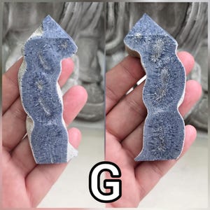 May include: A polished, elongated mineral specimen featuring a deep blue, textured surface with distinct, radiating star-like patterns throughout. The stone has a curved, irregular shape with a pointed top and a rough, light-colored outer edge.