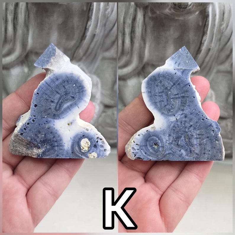 May include: A polished slab of blue and white fossilized coral featuring distinct circular patterns and organic textures. The specimen displays deep blue, radial, star-like inclusions set within a creamy white matrix, showcasing natural geological formations.