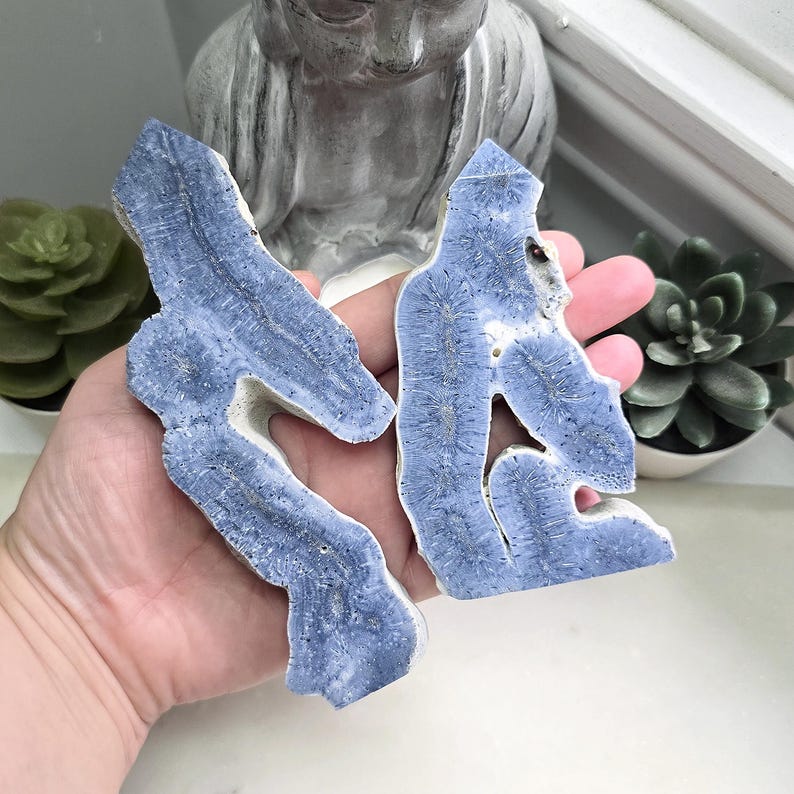 May include: Two irregular, flat, blue-toned mineral slices with a distinct radial, fibrous crystalline pattern. The stones feature a pale, off-white outer edge and a porous, textured surface with natural cavities, showcasing a unique, organic, and jagged shape.