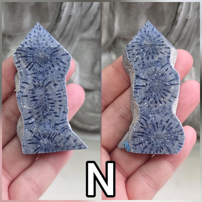 May include: A polished, tower-shaped specimen of blue fossilized coral featuring distinct, dark blue star-shaped patterns throughout its surface. The stone displays a natural, textured edge on one side and a pointed top, showcasing organic radial structures.