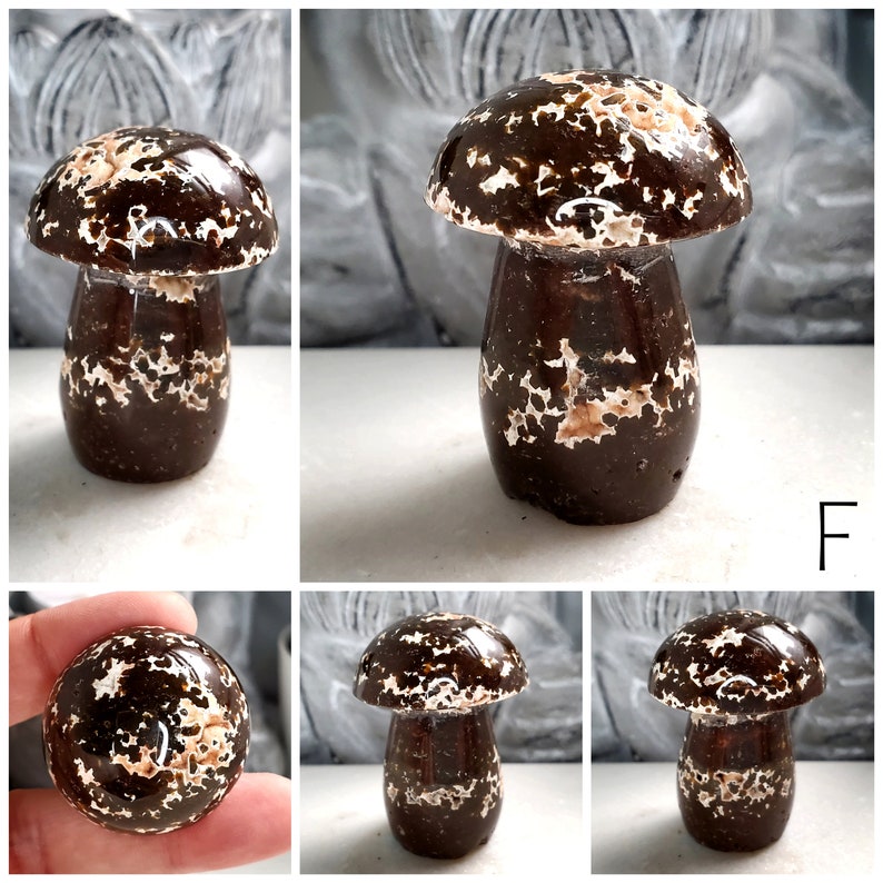 Ocean Jasper Mushroom Carvings, Bubble Ocean Jasper Crystals, Crystal Mushroom Carvings, Crystal Room Decor, Ethically Sourced F 50g - 4.6cmx3.3cm