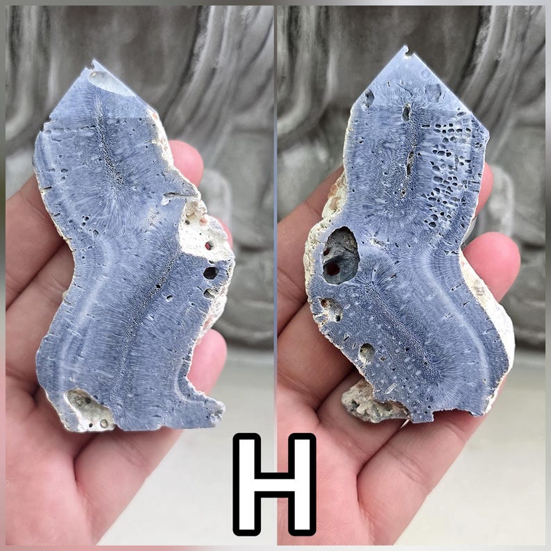 May include: A polished, irregular slab of blue-grey mineral specimen featuring a distinct radial, fibrous crystalline structure and natural porous inclusions. The specimen displays a pointed top and a curved, organic shape with a rough, light-colored edge.