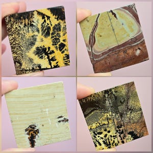 May include: Four square polished stone slabs featuring distinct natural patterns. One displays black dendritic fern-like inclusions on yellow, another shows layered brown and cream bands, a third has a pale tan surface with small dark spots, and the last exhibits complex black and gold mineral formations.