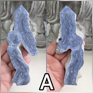 May include: A blue and white petrified coral specimen with a pointed top and irregular, organic edges. The surface displays a detailed, fibrous texture with circular patterns and a natural, porous beige base visible along the sides and back.