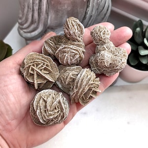 Selenite Gypsum Formation, Desert Rose Selenite, Raw Sand Stone, Crystal Collector Pieces, Stone From Morocco, Crystal Decoration, Raw Stone