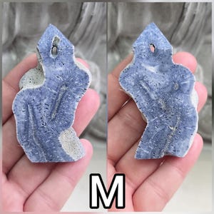 May include: A blue and white fossilized coral pendant with a pointed top and a drilled hole for suspension. The surface displays a natural, intricate radial pattern with porous, textured edges and a distinct, elongated central structure.