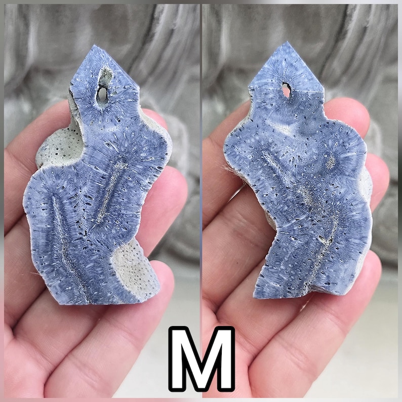 May include: A blue and white fossilized coral pendant with a pointed top and a drilled hole for suspension. The surface displays a natural, intricate radial pattern with porous, textured edges and a distinct, elongated central structure.