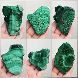 May include: A collection of six distinct malachite mineral specimens, each displaying unique natural banding and concentric circular patterns in various shades of deep forest green and lighter emerald green, showcasing raw, polished surfaces.