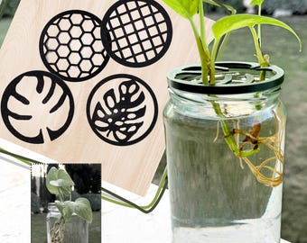 Mason Jar Propagation Disks | Plant Cutting Support for Water Propagation