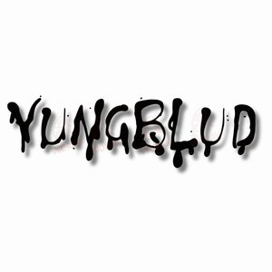 Autosticker Yungblud-naam
