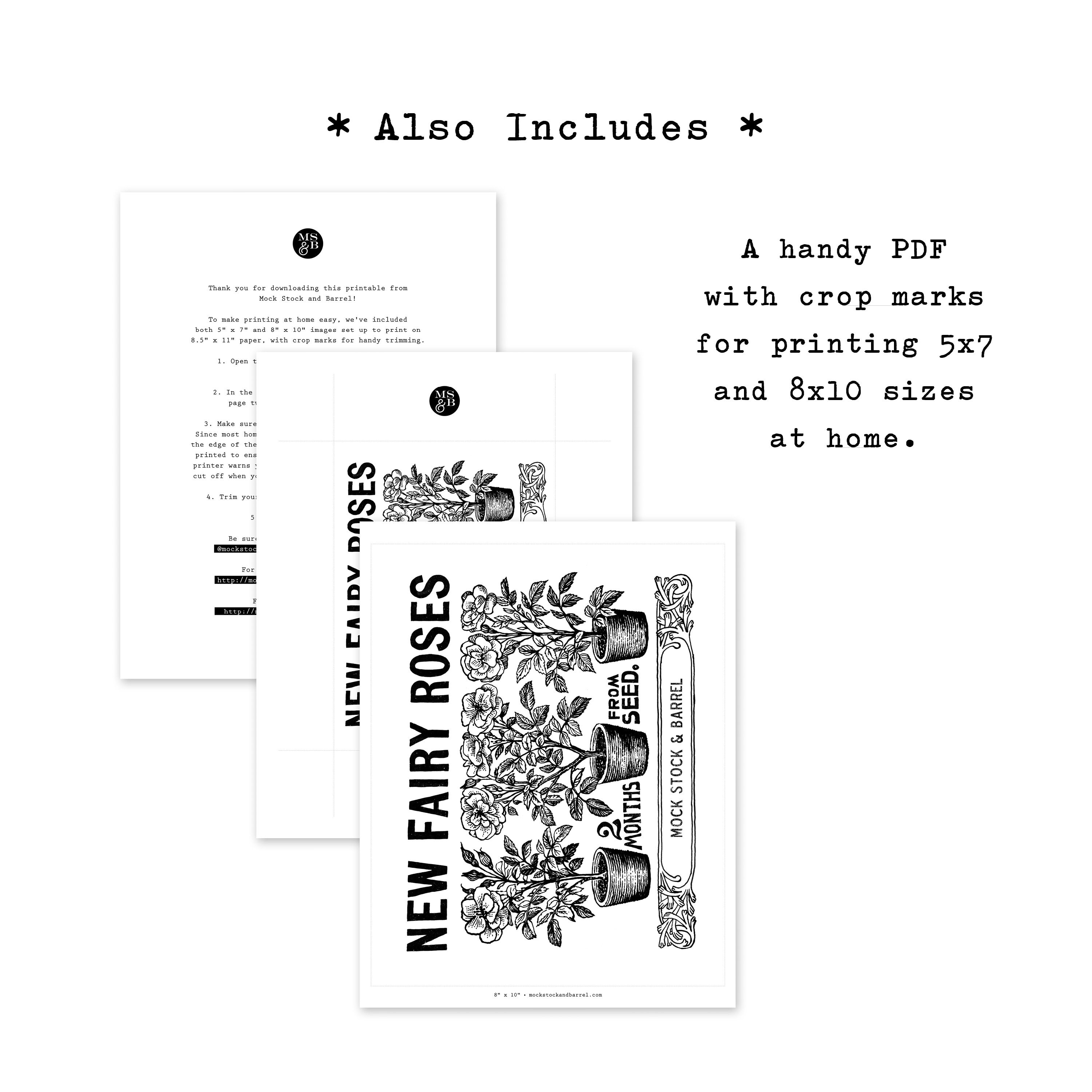 alpha bravo charlie alphabet with morse code phonetic etsy