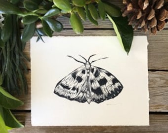 The Moth Print, Original Handprinted Linocut, Minimal Wall Art, Black and White, Home Decor