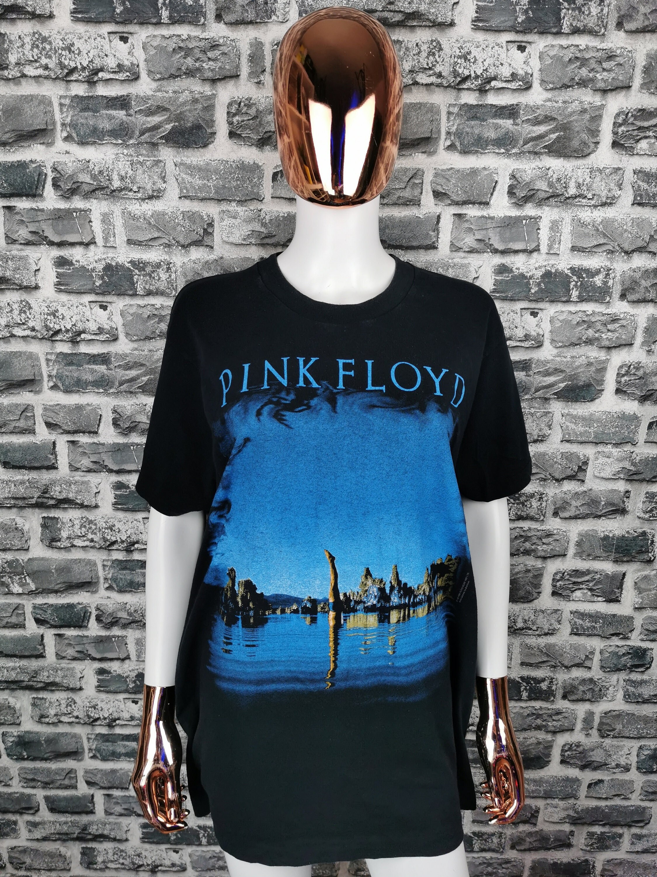 Statistisk Hør efter Titicacasøen PINK FLOYD 1992 Vintage T-shirt Wish You Were Here / Screen - Etsy