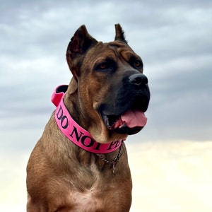 2&quot; Heavy Duty Tactical Nylon Quick Release Dog Collar and Leash Set